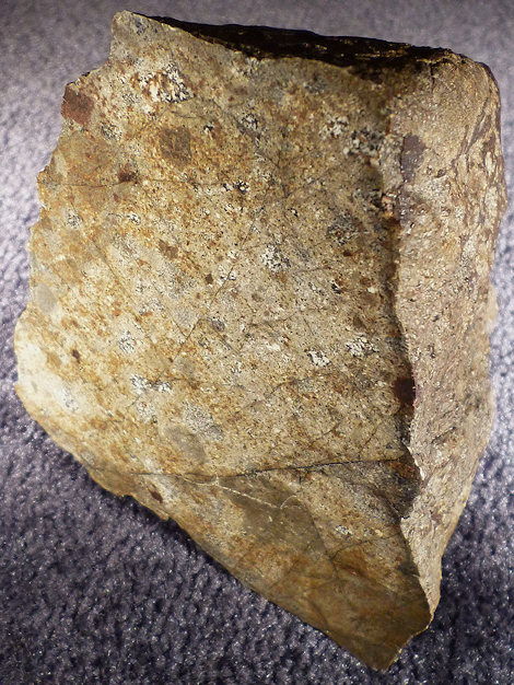 1.17 kilogram half stone
