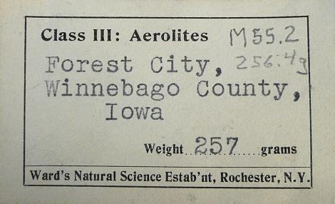 Original Ward's specimen label
